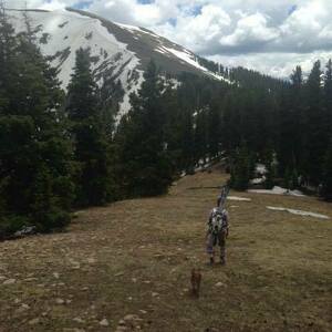 Fundraising Page: Haley Rach